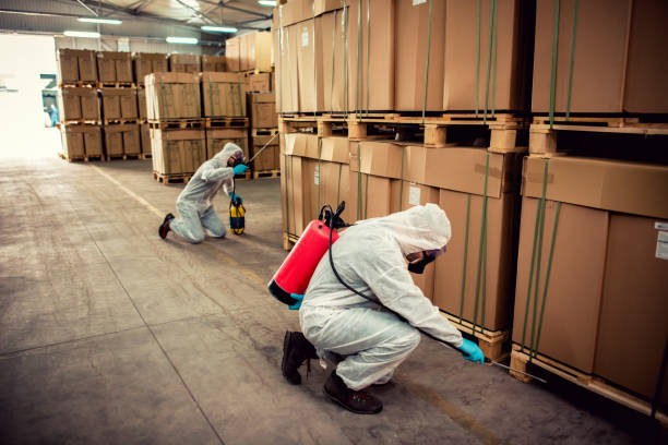 Best Pest Control Near Me  in Pearland, TX
