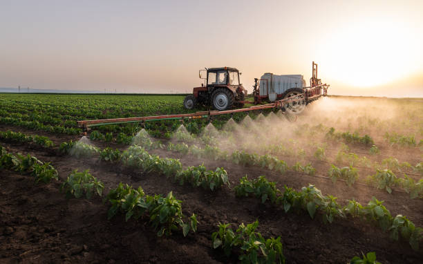 Best Pest Control Treatment  in Pearland, TX