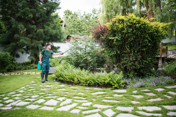 Best Pest Prevention Services  in Pearland, TX