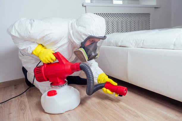 Best Local Pest Control Services  in Pearland, TX