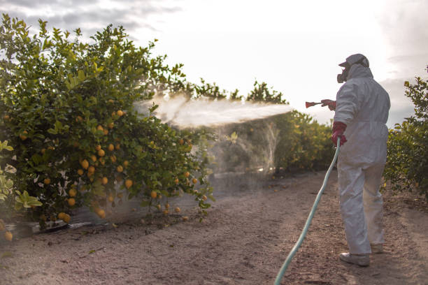 Wildlife Control Services in Pearland, TX