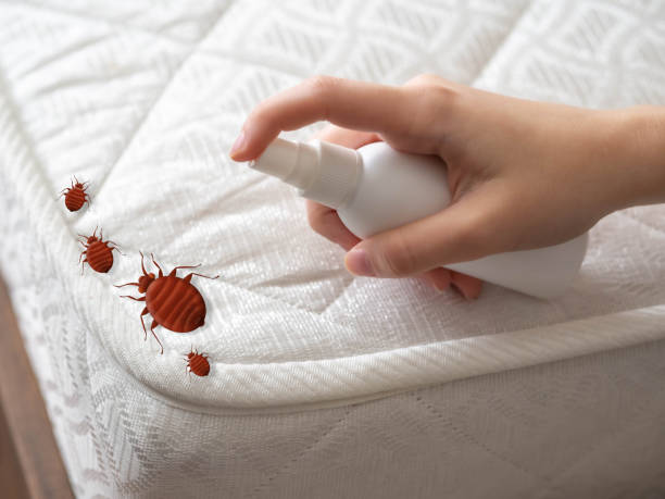 Best Best Pest Control Companies  in Pearland, TX