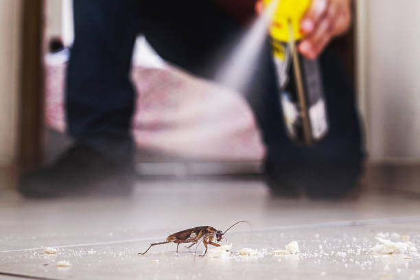 Best Cockroach Control Services  in Pearland, TX