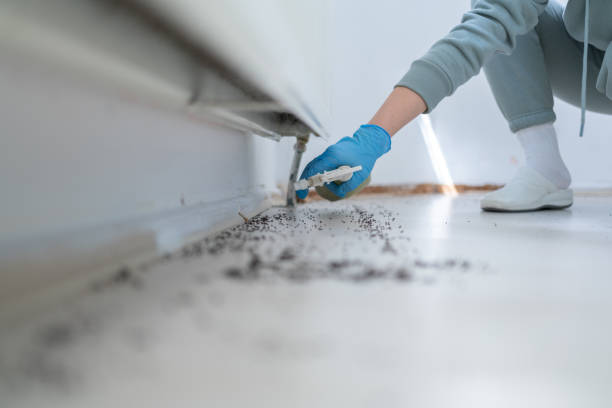 Pest Control for Restaurants in Pearland, TX